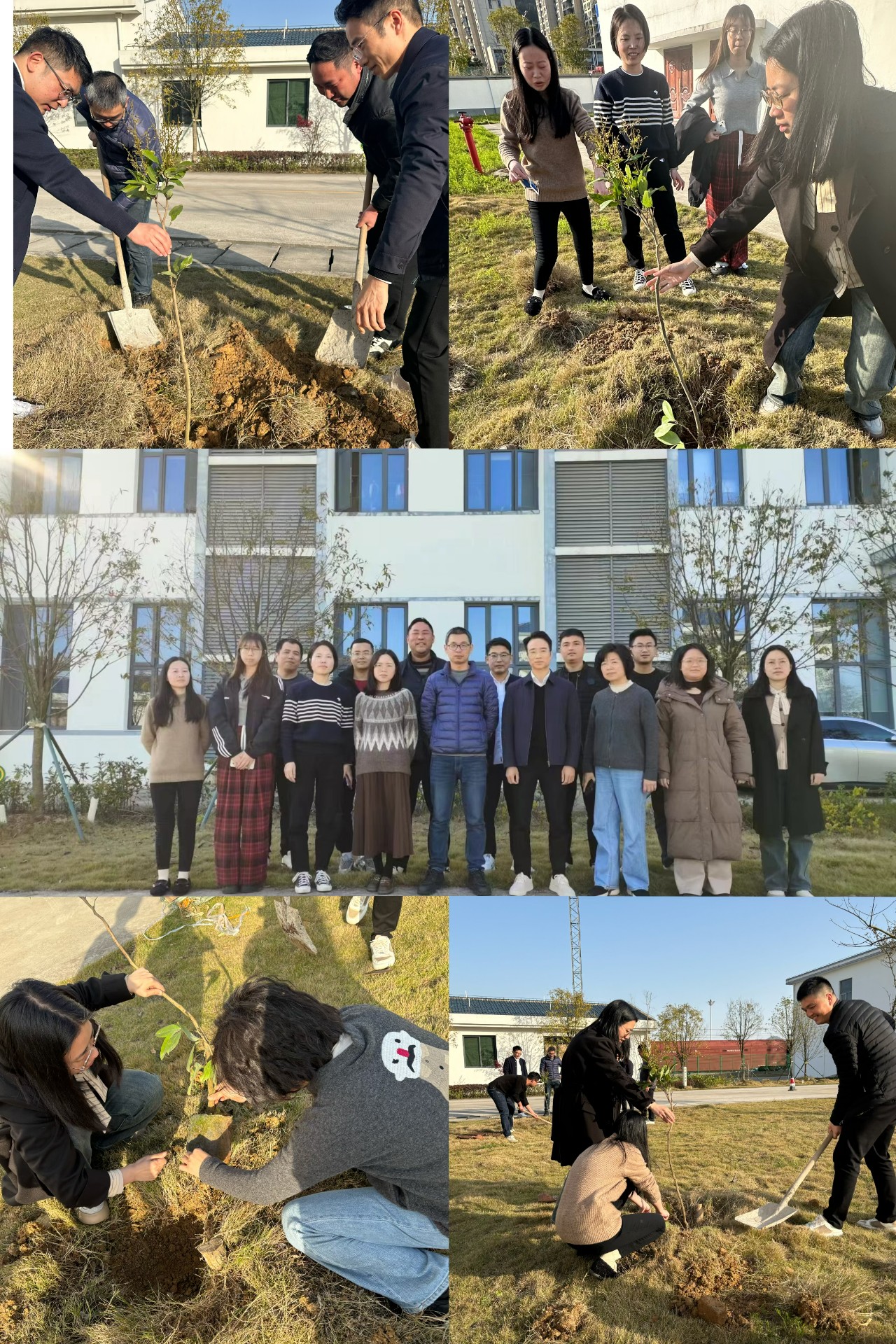2024-3-12綠色陸港，美麗寧德，阮克妙拍攝.jpg